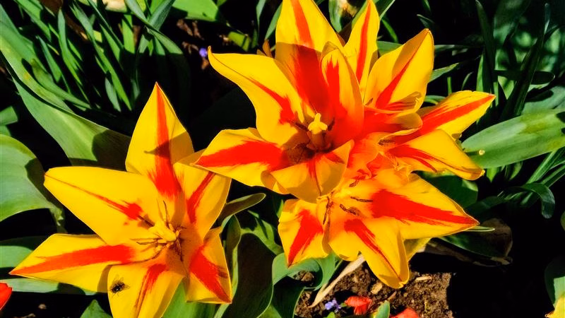 CAP Progress Report photo